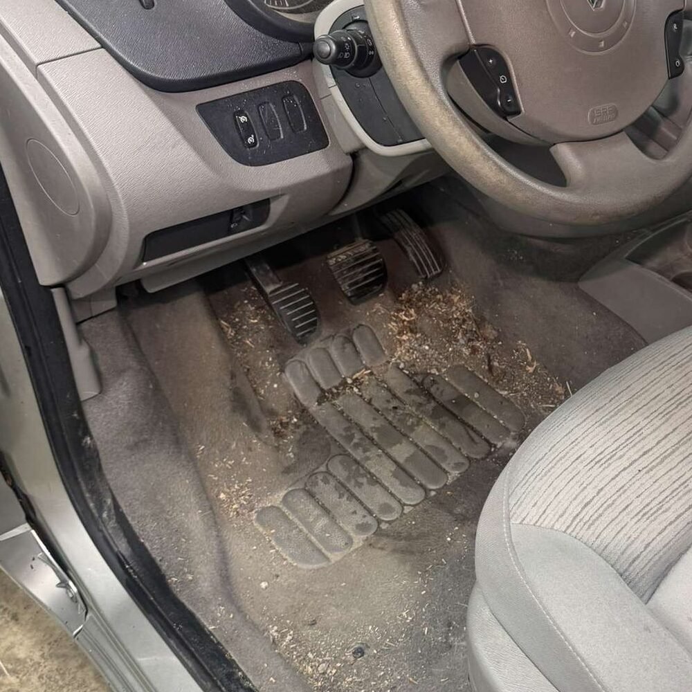 PHOTO-2025-09-25-20-21-54 PHOTO-2025-09-25-20-21-54